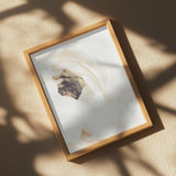 White Flower 01 Poster och Canvastavla