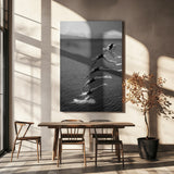 The beauty of diving Poster och Canvastavla