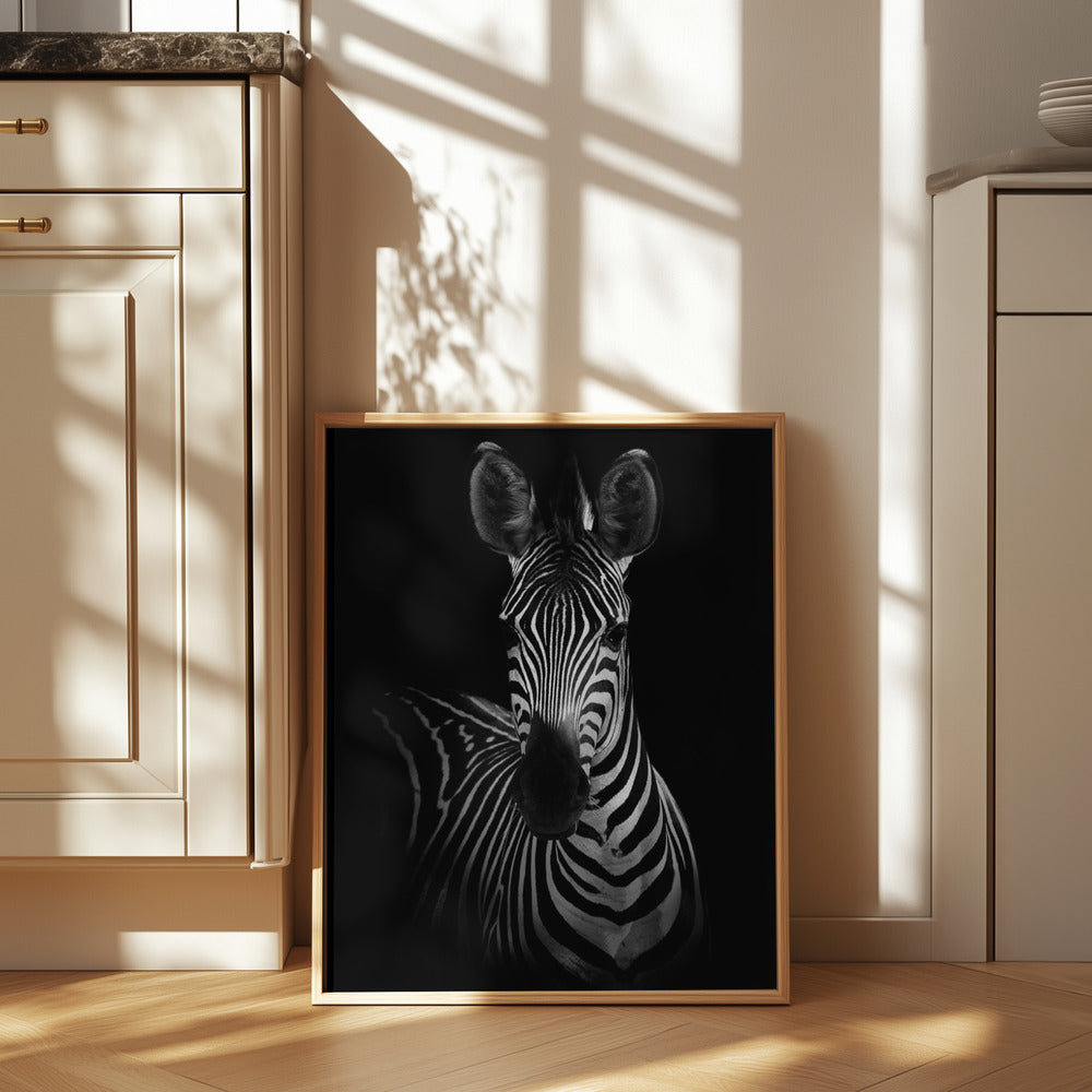 The Zebra Poster och Canvastavla