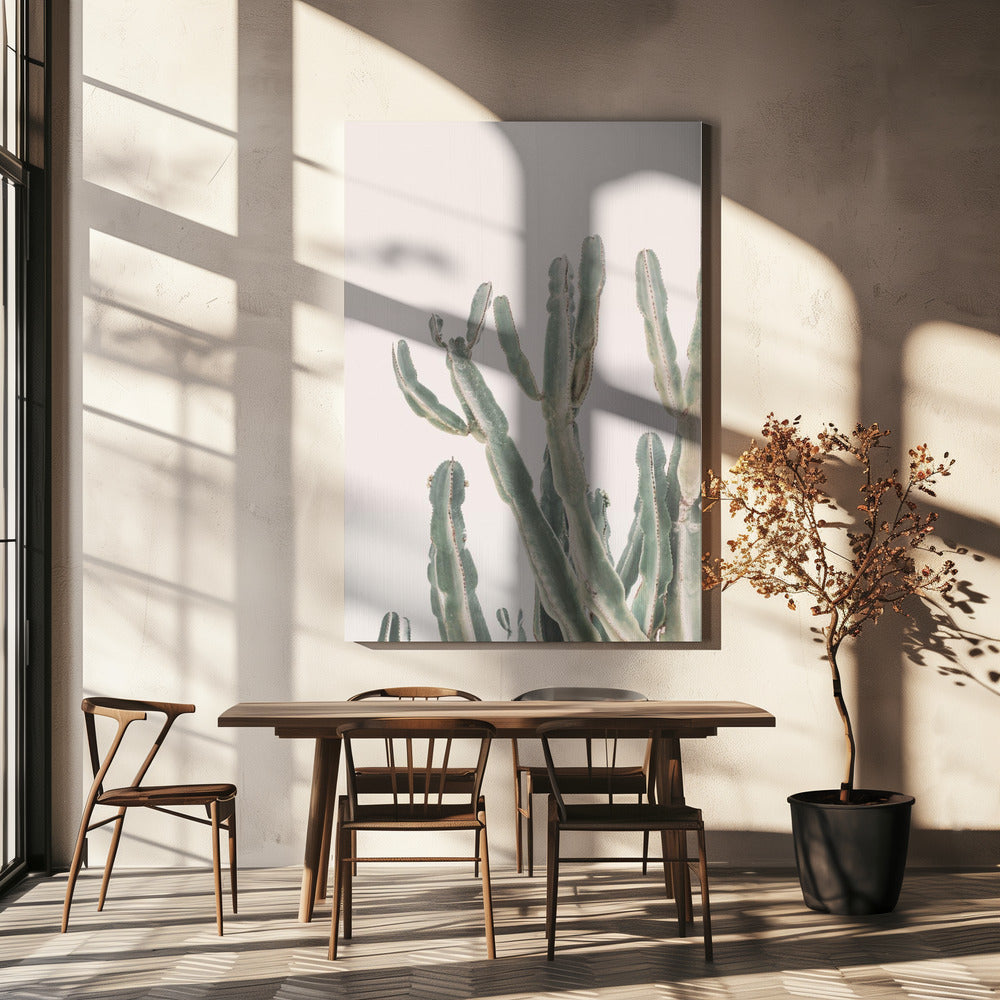 Sunrise Cactus Poster och Canvastavla