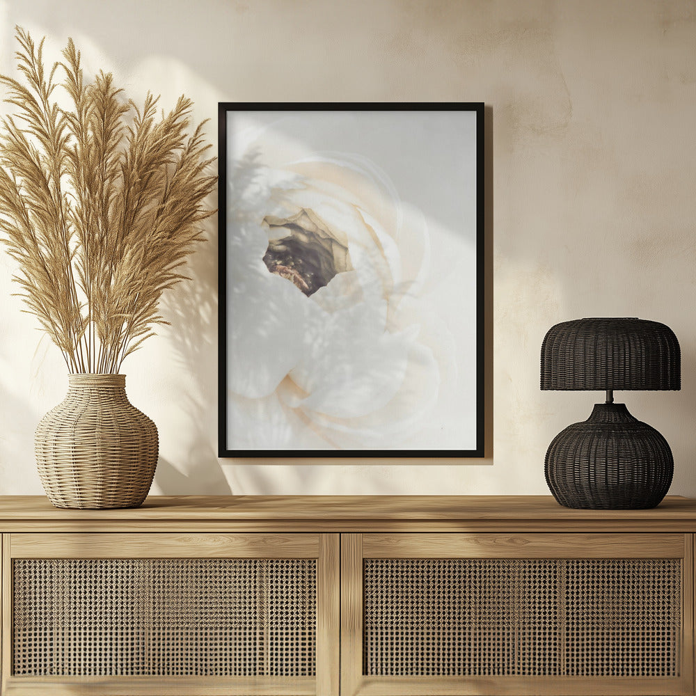 White Flower 01 Poster och Canvastavla