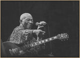 BB King Poster och Canvastavla