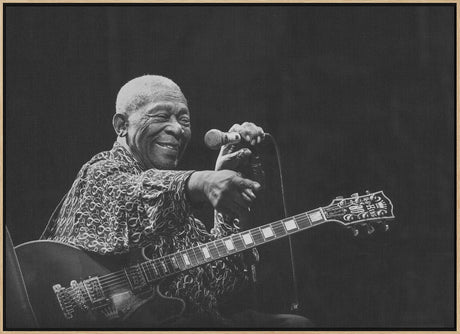 BB King Poster och Canvastavla