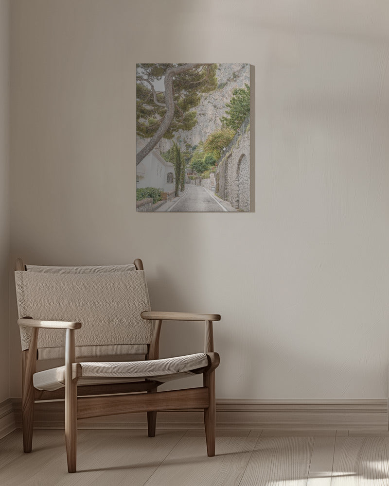 Streets of Capri Poster och Canvastavla