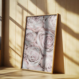 Pink Roses No 01 Poster och Canvastavla