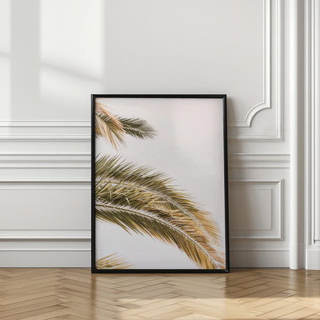 Oasis Palm 02jpg Poster och Canvastavla