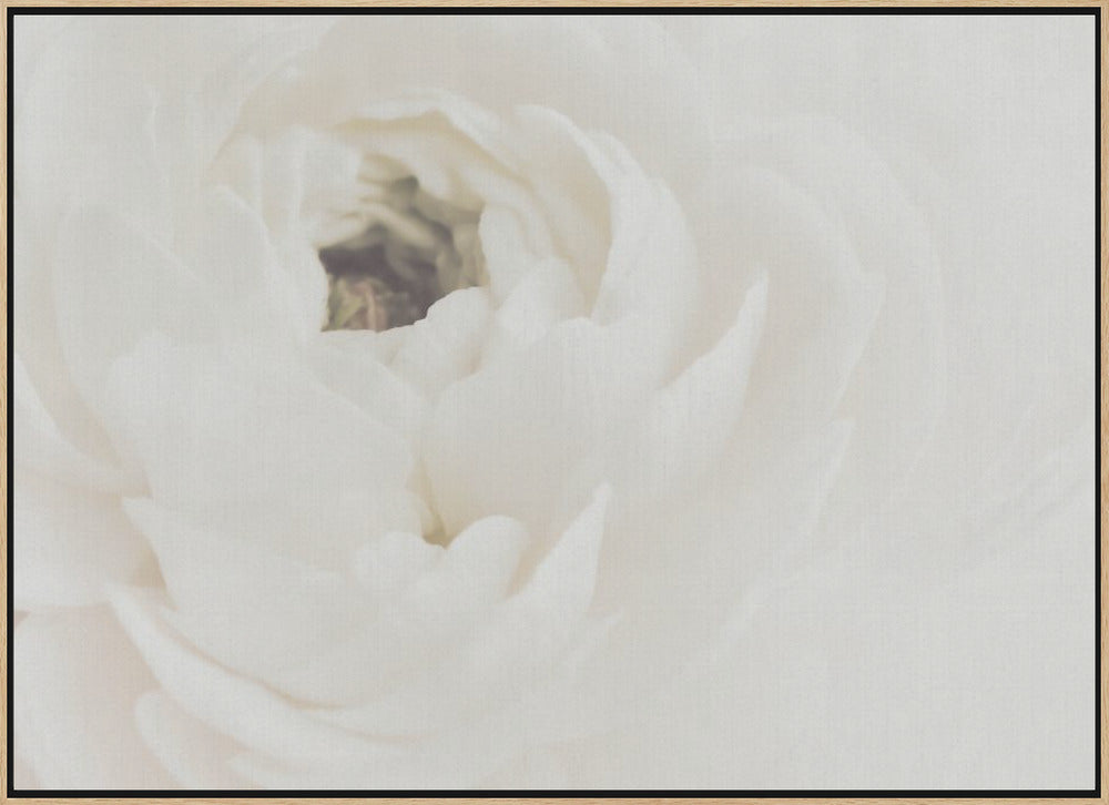 White Flower 02 Poster och Canvastavla