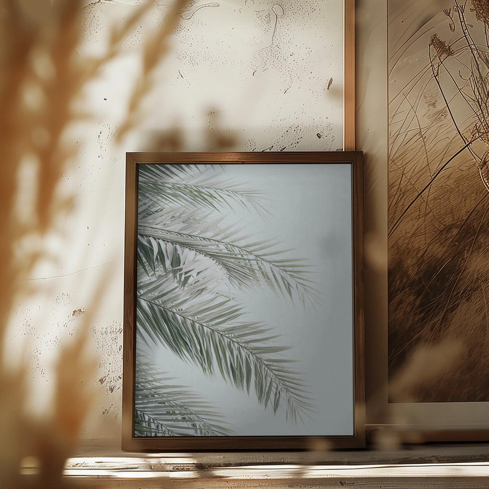 Blue Palms Poster och Canvastavla