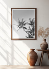 Palms Black and White Photography Poster och Canvastavla