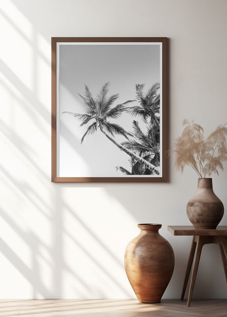 Palms Black and White Photography Poster och Canvastavla