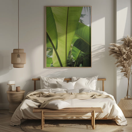 Tropic Bananna Poster och Canvastavla