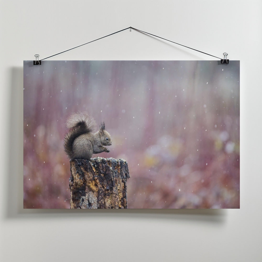 Purple rain Poster och Canvastavla