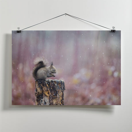 Purple rain Poster och Canvastavla