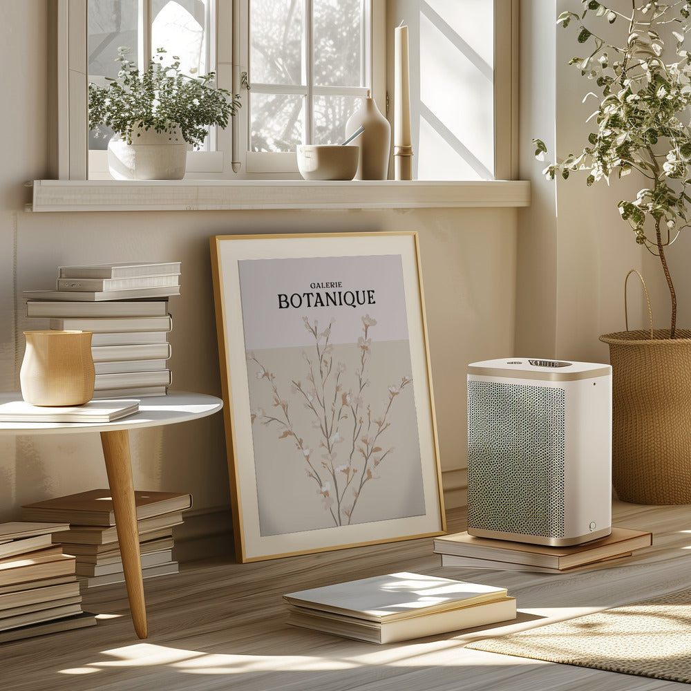 Galeriebotaniqueno5 Poster och Canvastavla