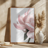 Peony 2 Poster och Canvastavla