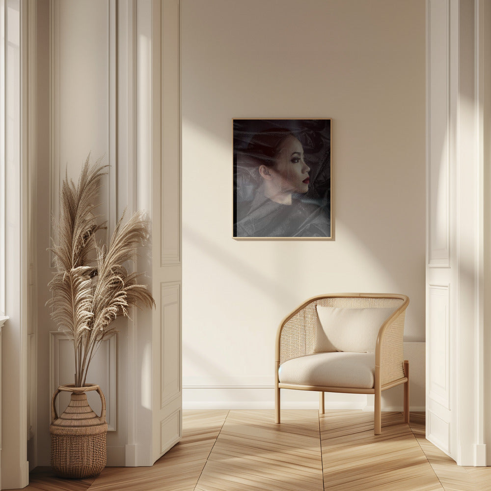 COMTESSE Poster och Canvastavla
