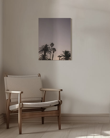 Palm Point Poster och Canvastavla
