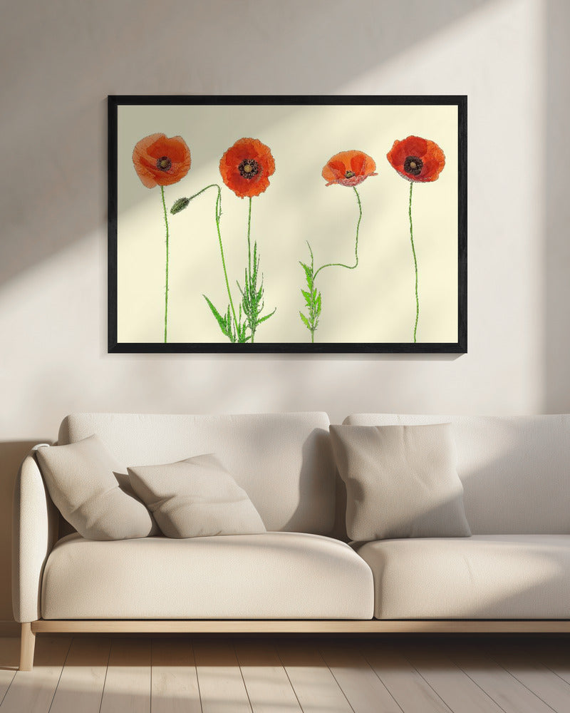 poppy quartet Poster och Canvastavla