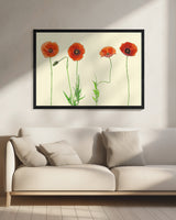 poppy quartet Poster och Canvastavla