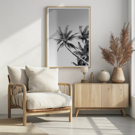 Palms Black and White Photography Poster och Canvastavla