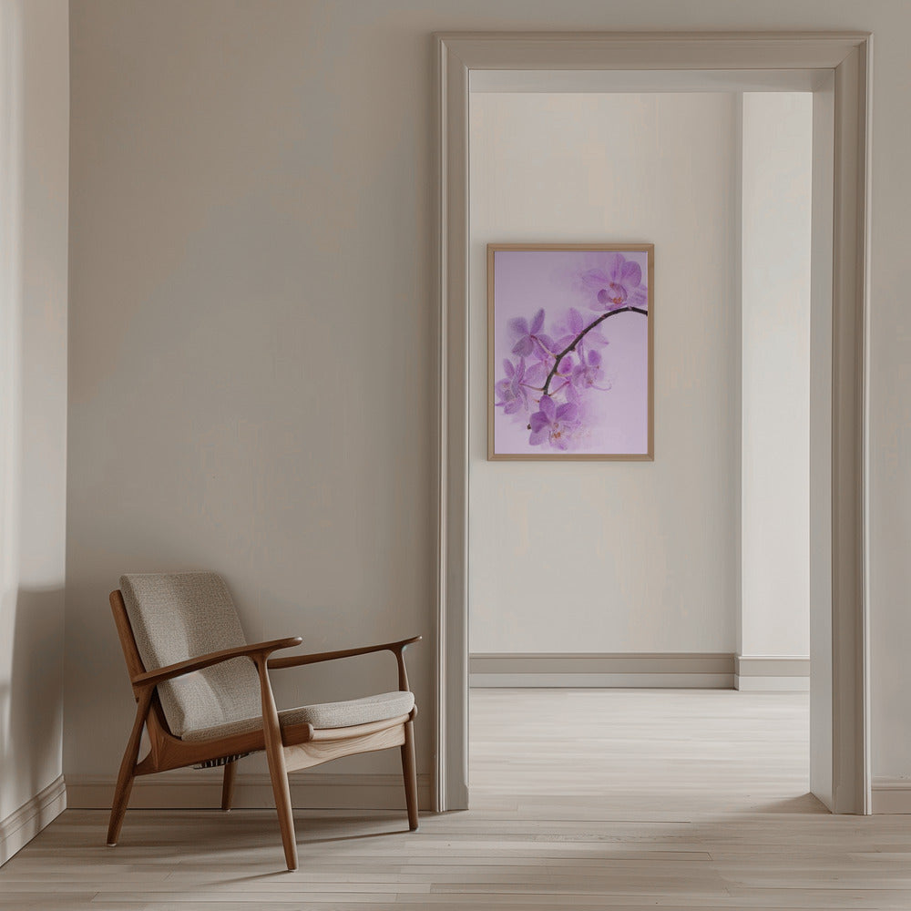 orchid fantasy Poster och Canvastavla