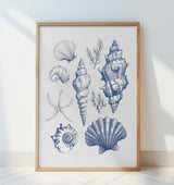 11x14 Shell Collage Poster och Canvastavla