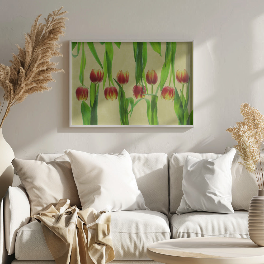 tulips Poster och Canvastavla