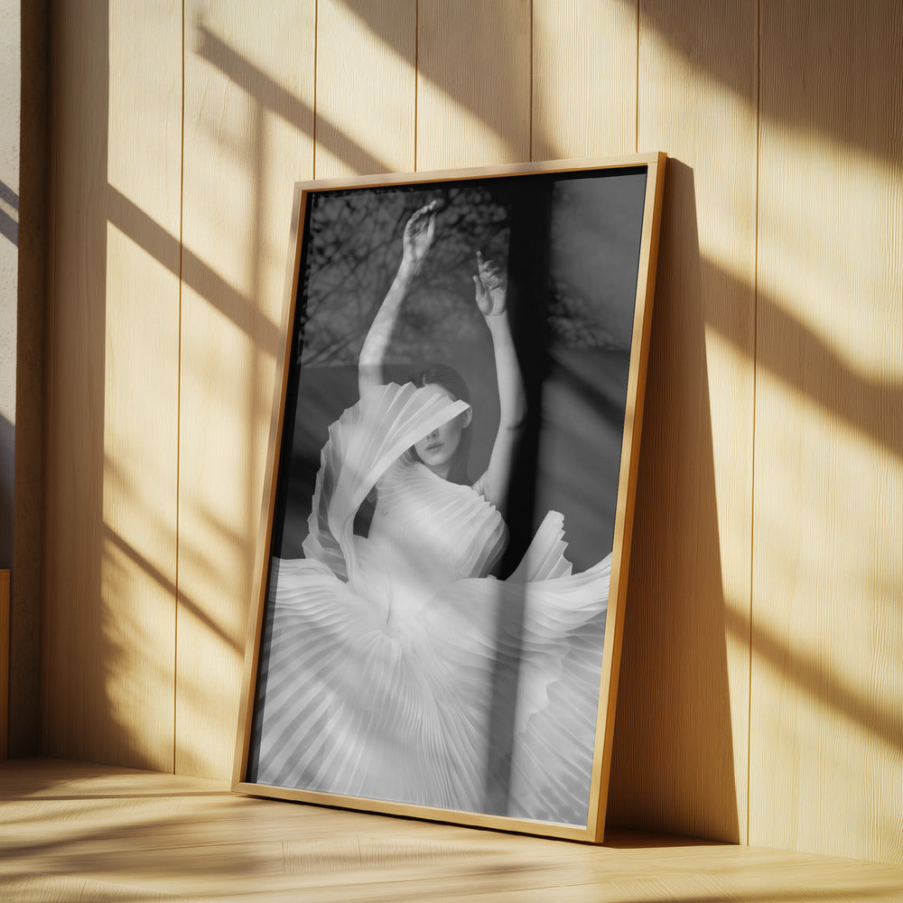 Amadeus Poster och Canvastavla