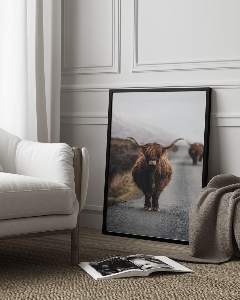 Cow Poster och Canvastavla