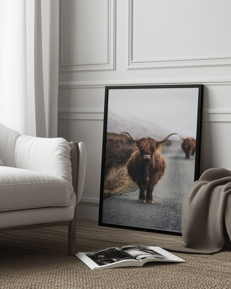 Cow Poster och Canvastavla