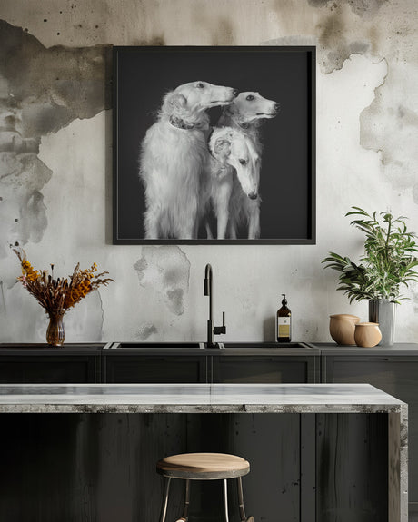 3 of a kind Poster och Canvastavla