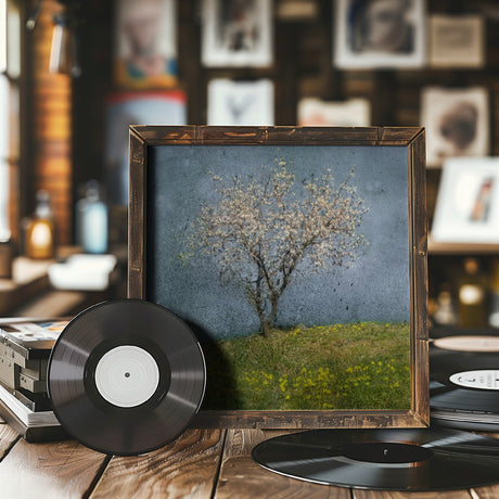 Almond tree Poster och Canvastavla