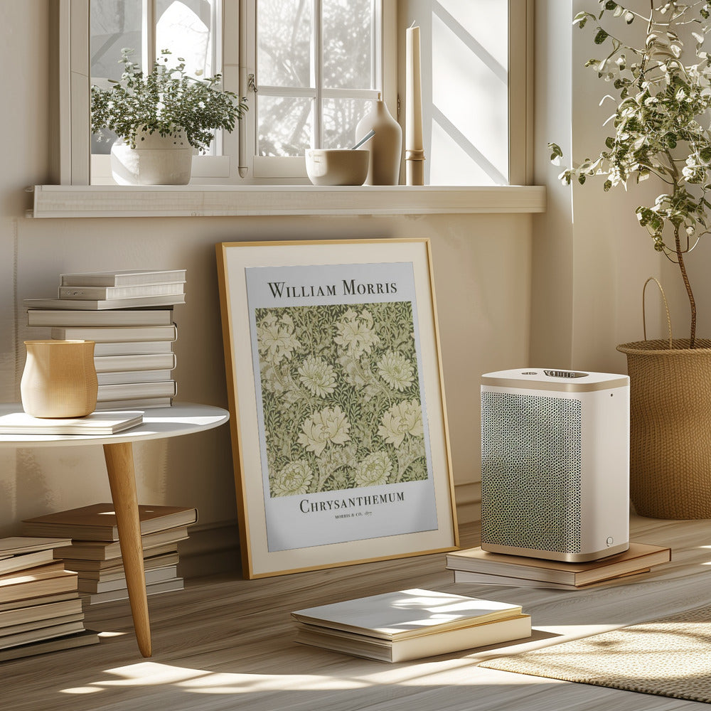 Chrysanthemum Poster och Canvastavla