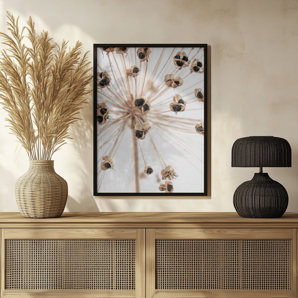 Dried_007 Poster och Canvastavla