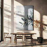 Olives Poster och Canvastavla