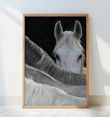 Look Poster och Canvastavla