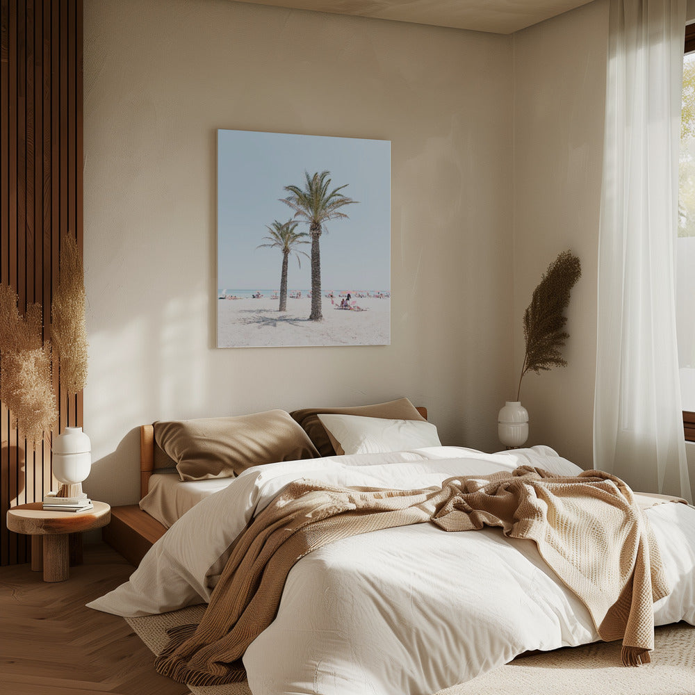 Palm tree at the beach Poster och Canvastavla