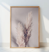 Pampas Grass Poster och Canvastavla