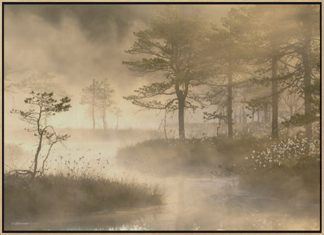 Swamp sunrise Poster och Canvastavla