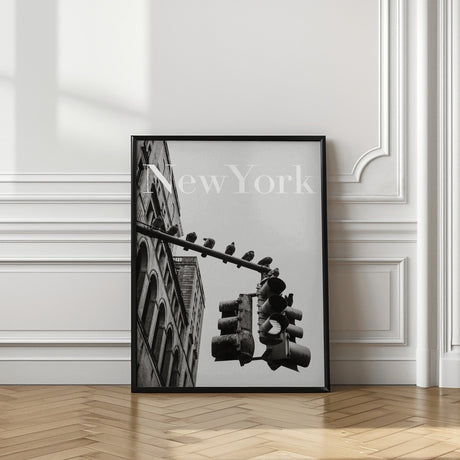 NYC Doves Poster och Canvastavla