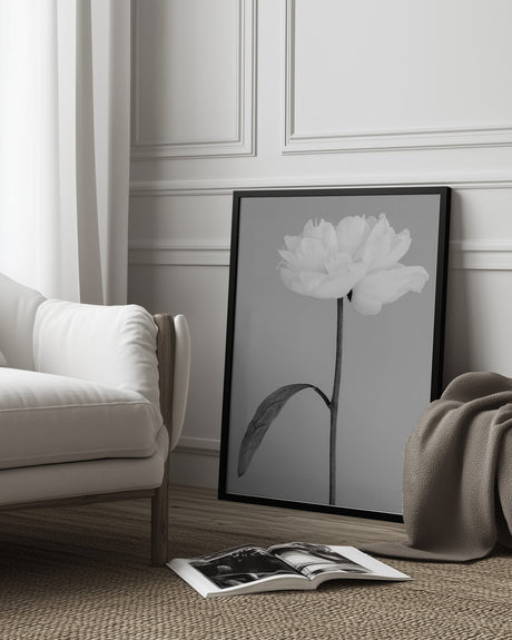 Peony 14 Poster och Canvastavla