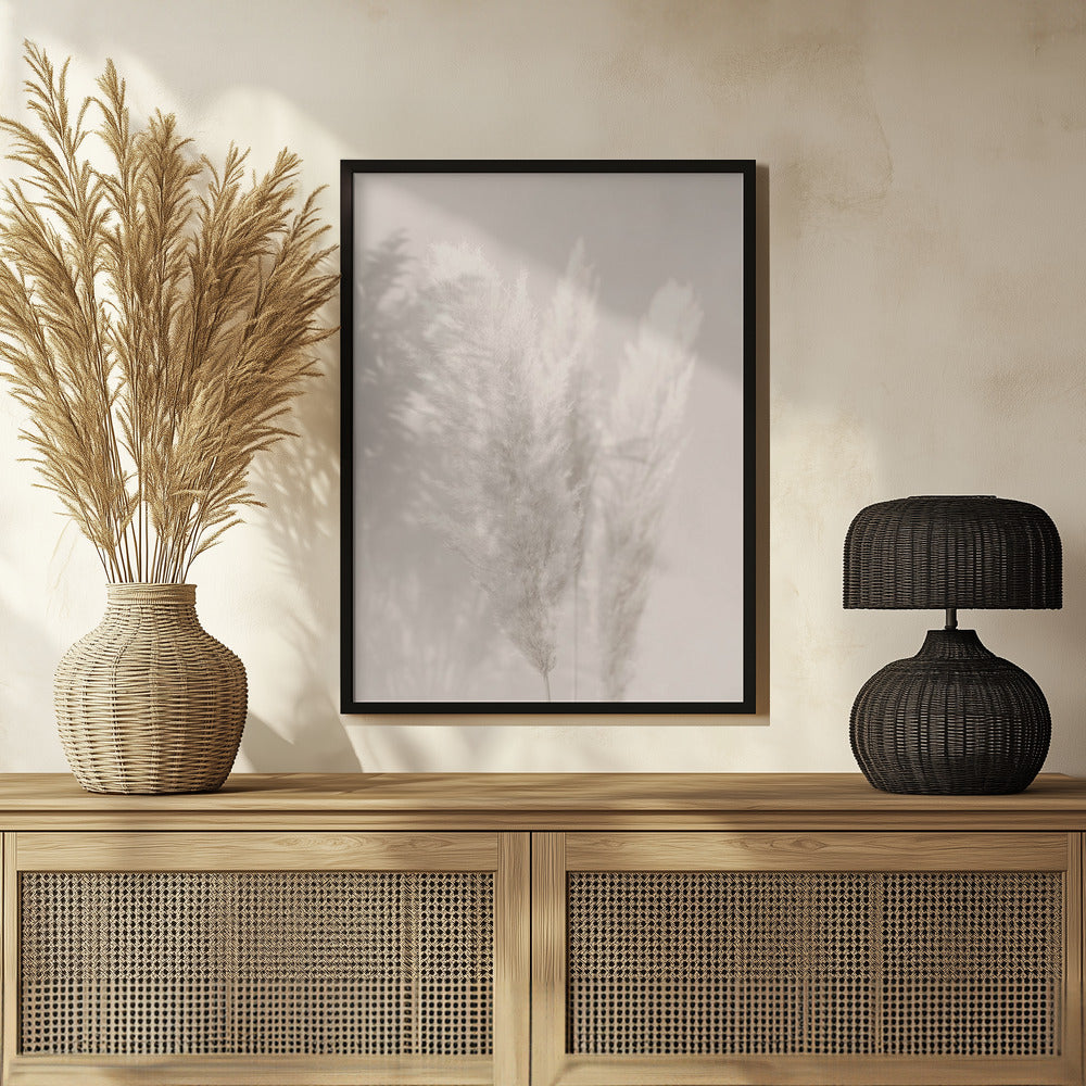 Pampas Grass_002 Poster och Canvastavla