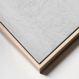 White patterns Poster och Canvastavla