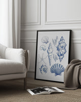 11x14 Shell Collage Poster och Canvastavla