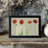 poppy quartet Poster och Canvastavla