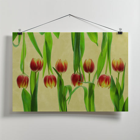 tulips Poster och Canvastavla