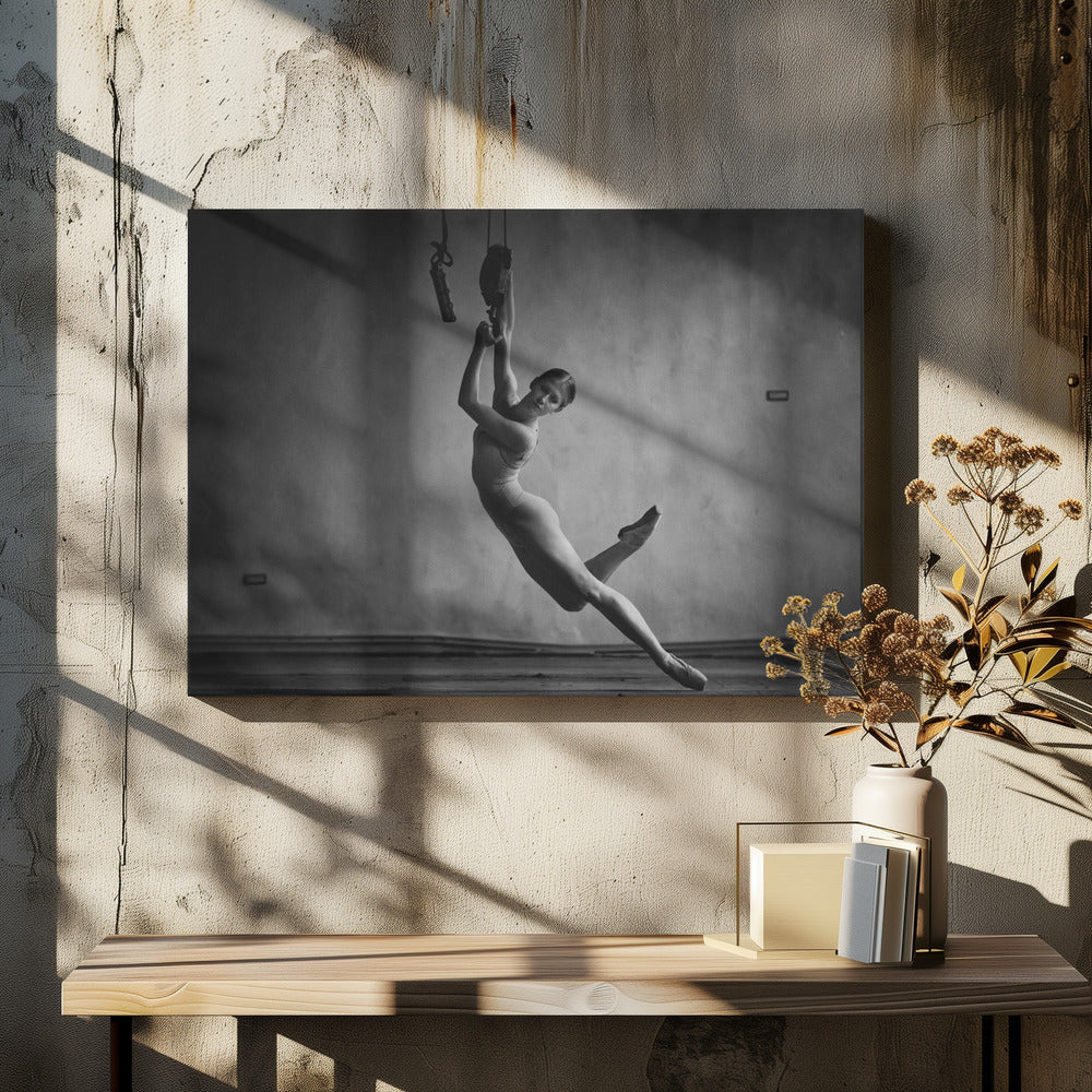 I can't fly Poster och Canvastavla