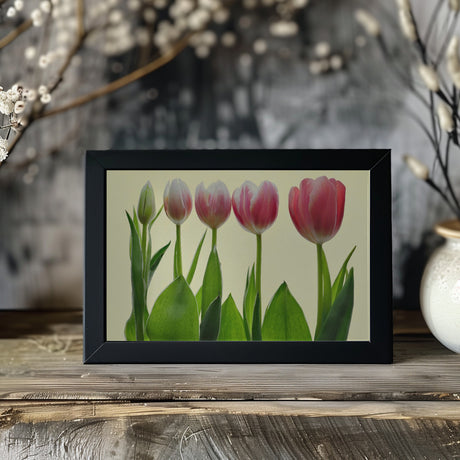 color growing Poster och Canvastavla