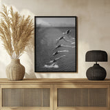 The beauty of diving Poster och Canvastavla