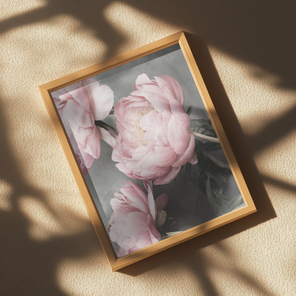 01643 Poster och Canvastavla